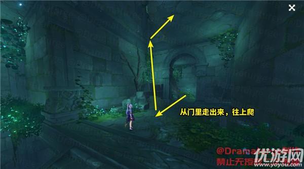 狗狗物品记忆卡