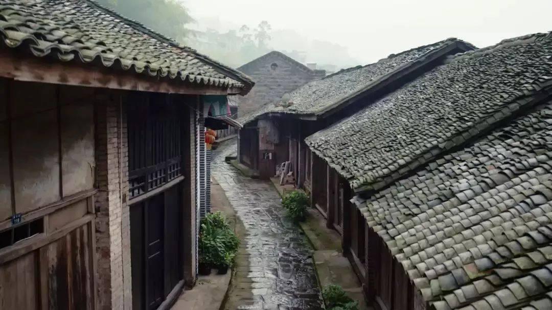 逃出重围第一章